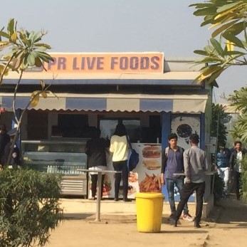 P R Live Foods